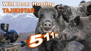 Wild Boar Hunting in Tadjikistan (2/2) // Chasse au sanglier au Tadjikistan (2/2) // 2022