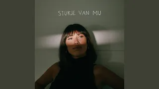 Stukje Van Mij