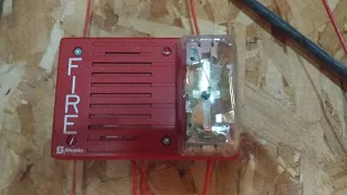 simplex 4903s in March time fire alarm test. (happy thanksgiving)