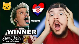 Baby Lasagna - Rim Tim Tagi Dim - Croatia 🇭🇷 WINNER of Eurovision 2024 (REACTION)