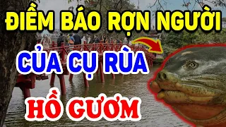 Tiết Lộ Điềm Báo Tiên Tri RỢN TÓC GÁY Của Cụ Rùa Mỗi Lần Nổi Lên Trên Hồ Gươm ! | Triết Lý Tinh Hoa