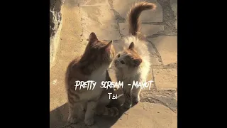 Pretty Scream Mayot-Ты (speed sound)