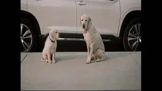 Funny Commercial - Subaru - Puppy's First Day Of School