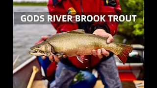 Gods River Brook Trout