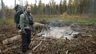 Ветлужские леса. НЕЖИЛЫЕ ДЕРЕВНИ СЕВЕРА НИЖЕГОРОДСКОЙ ОБЛАСТИ. Деревня Красная, Прелка и ЧЕНЕБЕЧИХА