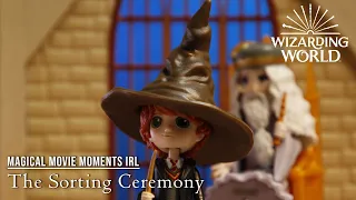 The Sorting Ceremony! (Harry Potter Magical Movie Moments IRL)