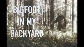 #37 SASQUATCH ENCOUNTERS from the MidWest