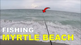 Where and What to Fish for at Myrtle Beach, SC in Summer (MUST WATCH)