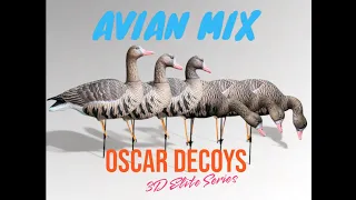 Обзор на комплект чучел Oscar Decoys Avian-Mix Elite 3D