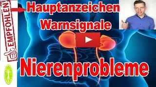 Nierenprobleme die Hauptanzeichen und Warnsignale! Die zu Nierenerkrankungen führen!  Gesundheit