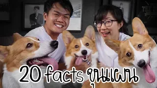 20 facts about ขุนแผน ft. Bie The Ska | Point of View