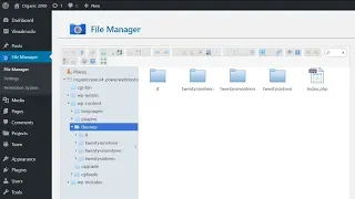 How To Install WordPress Themes Via File Manager FTP Without Host Access