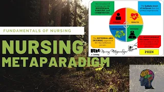 Nursing Metaparadigm | FUNDA