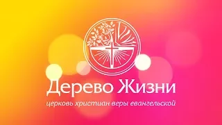 Ролик о церкви "Дерево Жизни" г. Новосибирск
