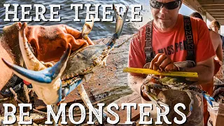 Giant Blue Crabs in our Chesapeake Bay Friday The 13th Report