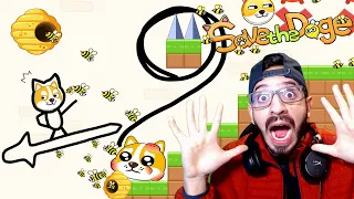 NOOB VS PRO VS HACKER en Save the Dog | Perros vs Abejas | Juegos Luky