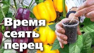 ПОСЕВ ПЕРЦА НА РАССАДУ. Подробная инструкция