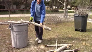 Watch Me Working - Sawing and containerizing branches for yard waste pickup