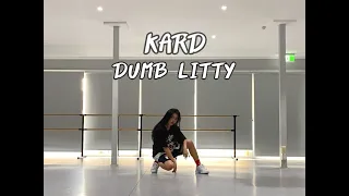 [Mirrored]KARD(카드) - Dumb Litty(덤리티) dance cover