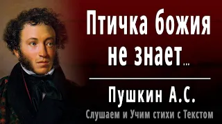 А.С. Пушкин "Птичка божия не знает" (отрывок из - Цыганы) - Слушать и Учить аудио стихи