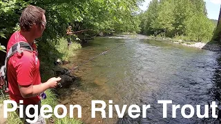 Trout Fishing Tennessee's Little Pigeon River