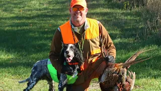 Beirl’s English setters South Dakota #birdhunting  #englishsetter #southdakotahunting