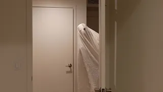 when your roommate is a ghost