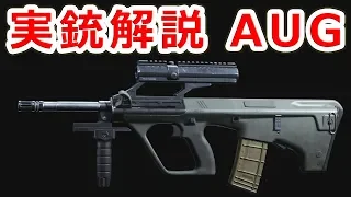 唯一成功したブルパップのアサルトライフル AUG【実銃解説】NHG