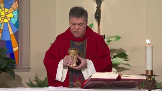 The Sunday Mass - Palm Sunday of the Passion of the Lord (March 25, 2018)