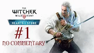 Let's Play The Witcher 3: Hearts of Stone, Part 1 - Mysterious contract