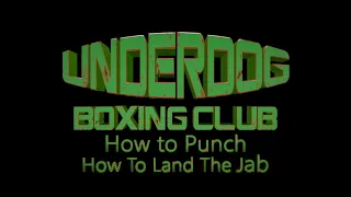 Boxing Lesson - How to land the jab (1)