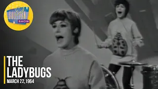 The Ladybugs "When I Saw Him Standing There" on The Ed Sullivan Show
