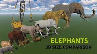 3D Elephant 🐘 Size Comparison || Animal Size Comparison 2024