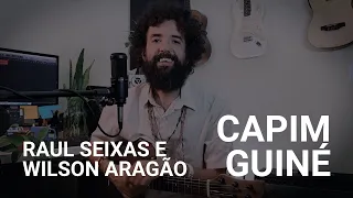 Capim Guiné - Raul Seixas e Wilson Aragão - José Cândido - História e música