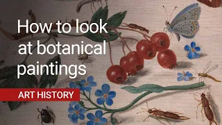 Three ways to understand Van Kessel's tiny insect paintings | National Gallery