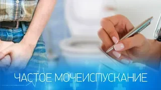 Частое мочеиспускание – это норма?