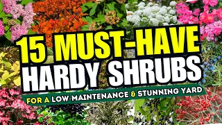 Top 15 Hardy Shrubs for a Low-Maintenance & Stunning Yard! 🌳💪 - Perfect for Lazy Gardeners!