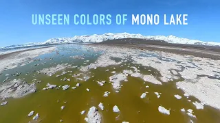 Unseen Colors of Mono Lake