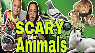 10 Scariest Land Animals You Won’t Believe Exist. #viralstory #amazingpeople #top5best