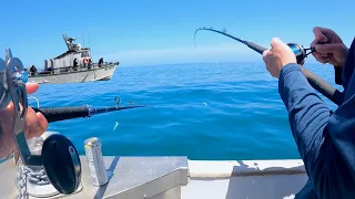 White Seabass Fishing Turns to Wide Open Surface Fishing!