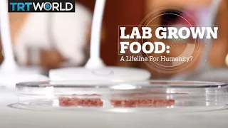 LAB GROWN FOOD: A lifeline for humanity?