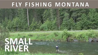 Fly Fishing a Western Montana Small Stream in June [Series Episode #2]