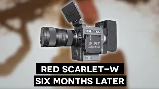 My Experience with the RED Scarlet W (Review)