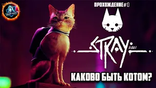 ПРИКЛЮЧЕНИЕ КОТА В МИРЕ ПОСЛЕ АПОКАЛИПСИСА ● STRAY -  ЛУЧШАЯ ИГРА ЛЕТА ● ПРОХОЖДЕНИЕ#1