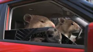 Kia Soul Hamster Commercial in HD(High Definition)