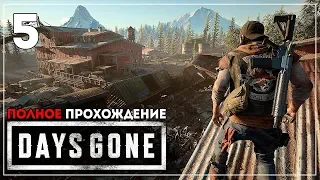 Война. Дикие Орды. ФИНАЛ (+ Секретная концовка). Жизнь После | Days Gone #5