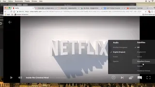 Netflix for Language Learning
