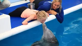 13-Year-Old Quad Amputee Swimmer Meets Her Hero, Winter the Dolphin