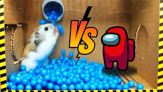 🐹Cute Hamster pets Among Us but with Traps in maze