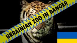 KYIV ZOO IN DANGER